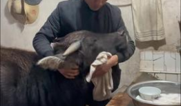 牛牛在线观看视频,畅享海量视频，轻松开启视听盛宴