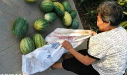 莱州吃瓜最新事件爆料,揭秘背后惊人真相